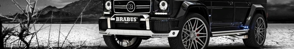 banner 2