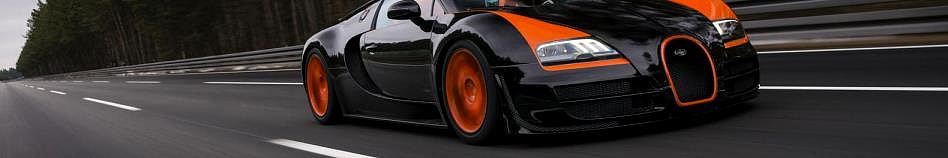 banner 3