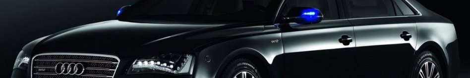 banner 3