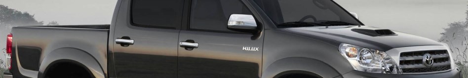 banner 3