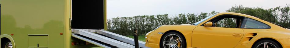 banner 3