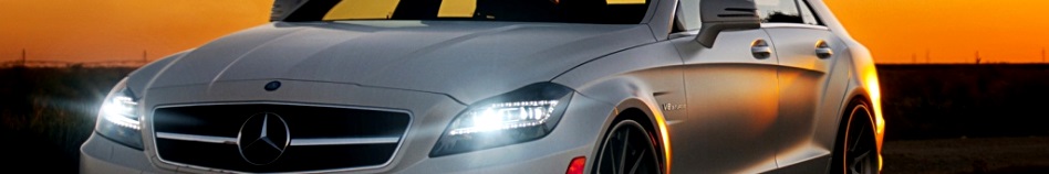 banner 3